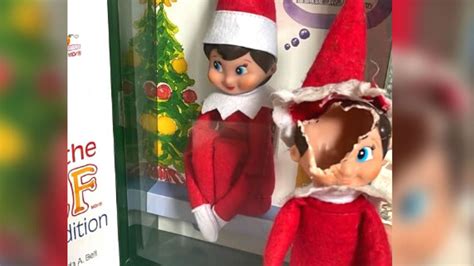 dog eats elf on the shelf|elf on the shelf dog lover.